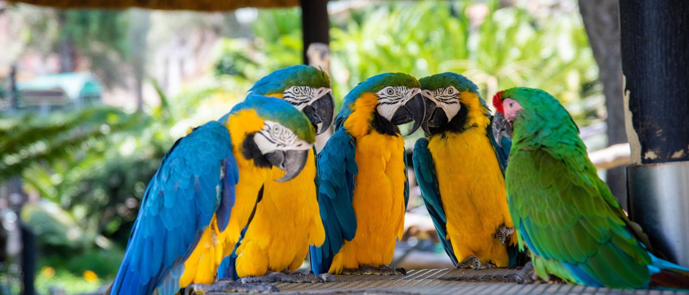 We are not parrots – ChatGPT and what it means for communication ...